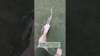 Is this the punishment for camping?