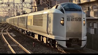 E259系0番台ｸﾗNe018編成＋ｸﾗNe012編成が市川駅を高速通過するシーン