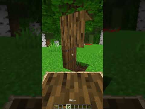 Secret Tree Base Minecraft 🌳 #shorts