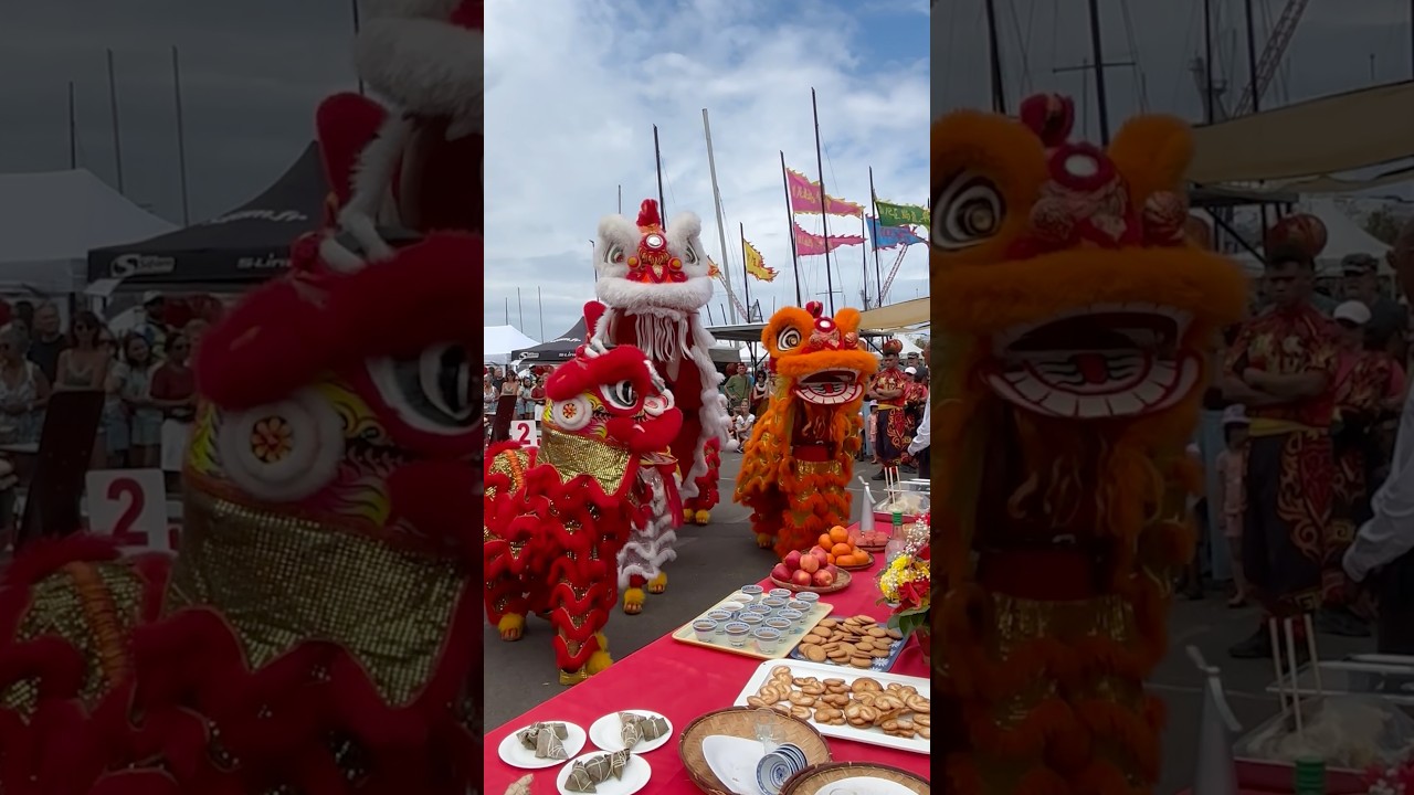 Dragon Festival Reunion