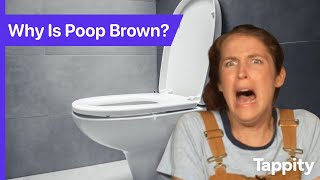 Why is Poop Brown? | Digestive System for Kids | Ask Tappity: Science Questions & Answers
