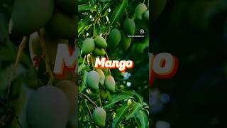 Descubre los increíbles beneficios del mango: ¡Una fruta deliciosa para tu salud!