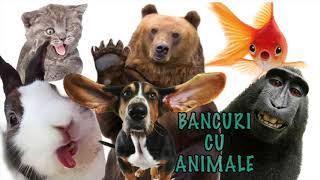 Bancuri Tari cu Animale 2019