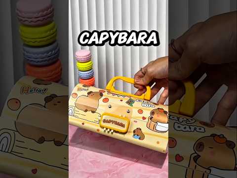 🎬 Video relacionado con estuches escolares