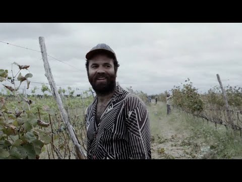 FIEIRA* (2025) - Cena - AGRESTE