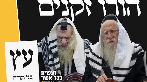 קליפ בחירות מפלגת 'בני תורה' תשפ"ד בנצי שטיין ומלכות |2024|New Campaign Single Bnei Torah (Eitz)