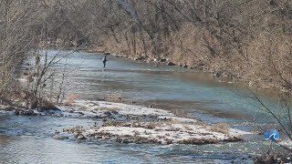 VA Cold Trout