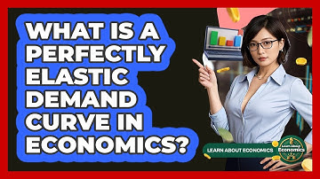 What Is A Perfectly Elastic Demand Curve In Economics? - Learn About Economics