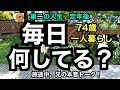 第二の人生 定年後「毎日何してる?」74歳一人暮らし 旅途中、兄の本音トーク!