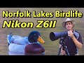 Norfolk Lakes Birdlife with Nikon Z6II
