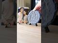 結婚祝いに最適な贈り物を石を削って作ってみた! @MeshyAI#3DtoVideo #Nanobana #meshyai #meshy5 #ai3d #xtool