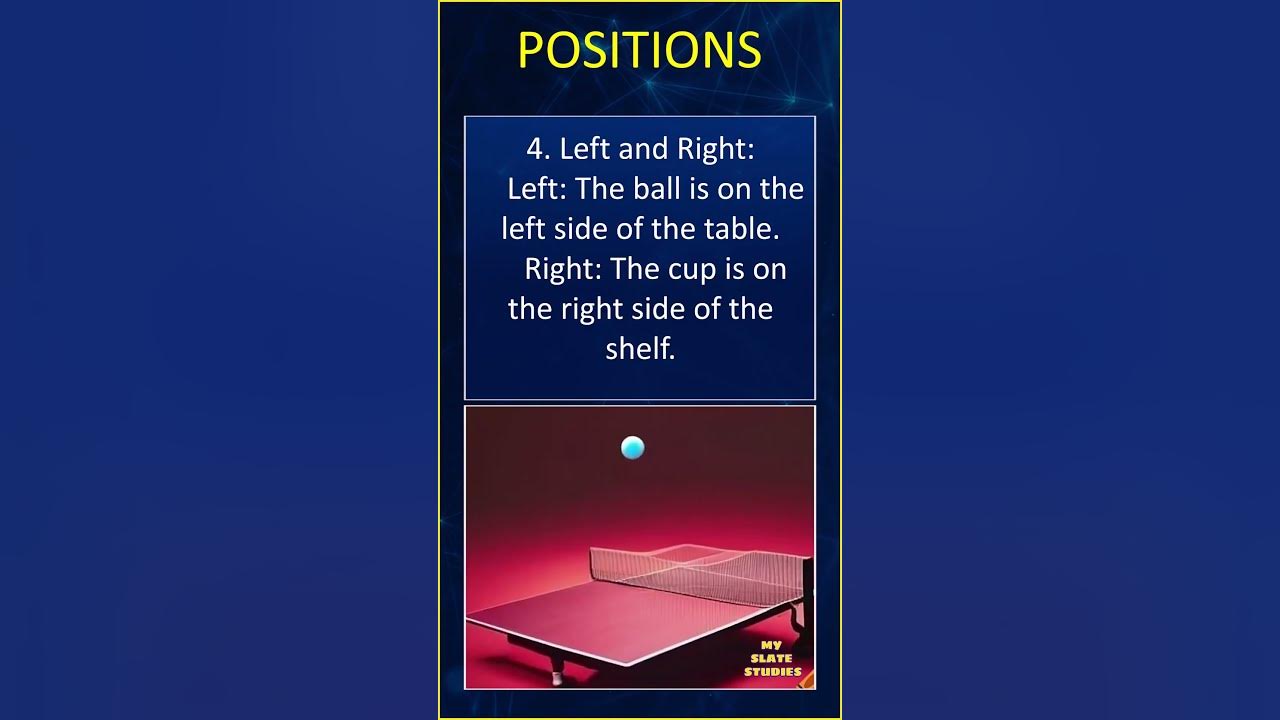 positions-sizes-myslatestudies-inside-outside-tall-and-short