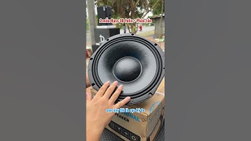 2 mẫu bass 30 Felix và 3 mẫu phân tần cho loa Full, Array, Hỏa Tiễn #dvhaudio #shorts