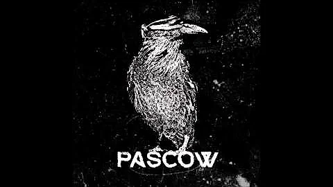 Pascow - Briefe an Patti Smith