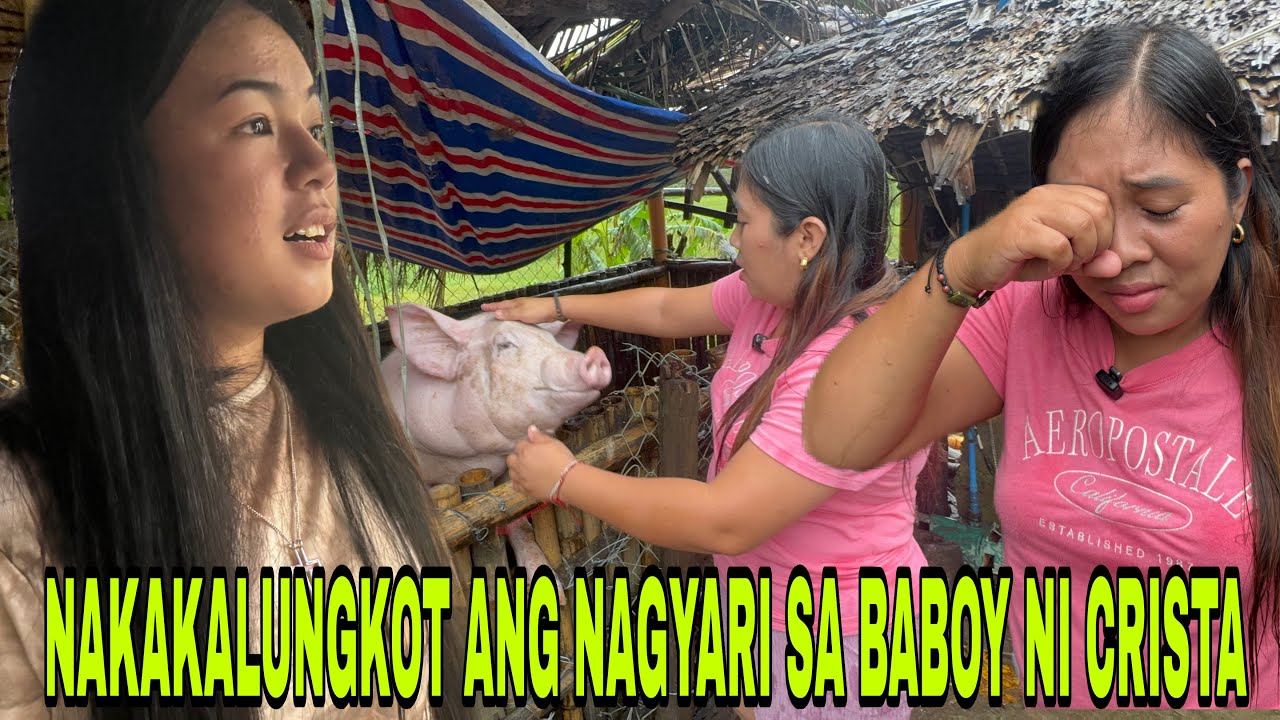 CRISTA NAPASUGOD SA KANYANG BABOY LIGAYA NAIYAK SA NANGAYARI 