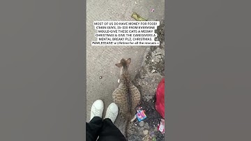 For Any Support Click Our Link In Bio To Help. All Pledges You Make To Support Are Appreciated!🙏