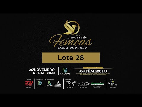 LOTE 28