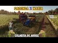 🟢Live on colheita do arroz  na Fazenda 3 Maria  Farming Simulator 25 bora acompanhar deixe o like