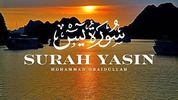 سورة يس كاملة بصوت الشيخ محمد عبيدالله تلاوة خاشعة ومؤثرة #qurantilawah