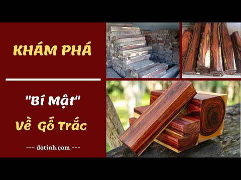 Video Gỗ trắc là gì? Cách phân biệt các loại gỗ trắc? Giá gỗ... - youtube