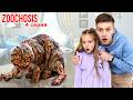 ZOOCHOSIS у нашей КОШКИ 🙀 4 серия