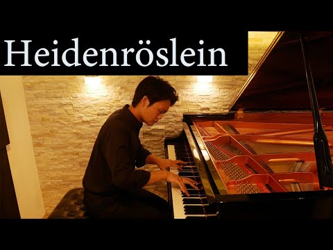 ランゲ/荒野のバラ Lange/Heidenröslein(Heather Rose)
