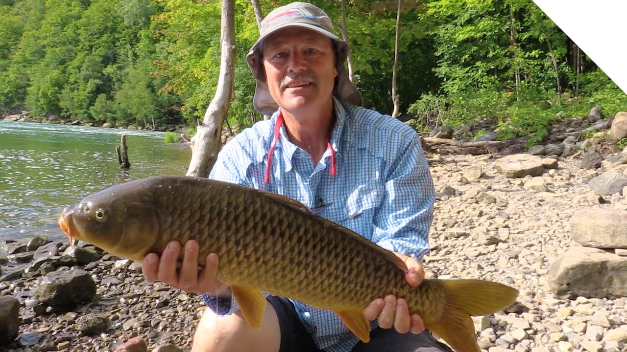 Introducing the CatchACarp! YouTube