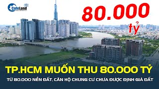 TP.HCM muốn thu 80.000 tỷ từ 80.000 nền đất, căn hộ chung cư chưa được ĐỊNH GIÁ ĐẤT | CafeLand