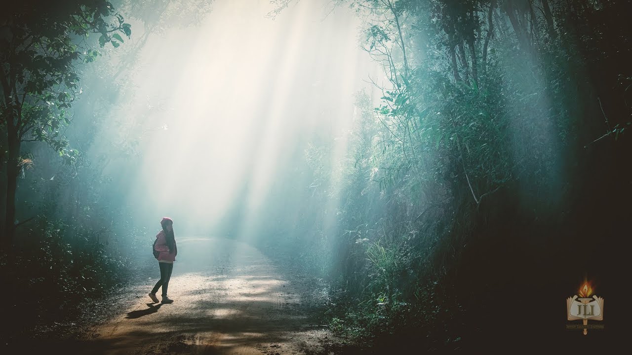 Unbeatable (Parshat Ki Teitzei)