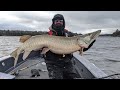 Vertical Jigging Tubes for GIANT Late-Fall Muskie on Lake of The Woods | S14 E20