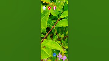 how to add whatsapp fingerprint on android phones #android tricks #mobiles #whatsapp #solutions