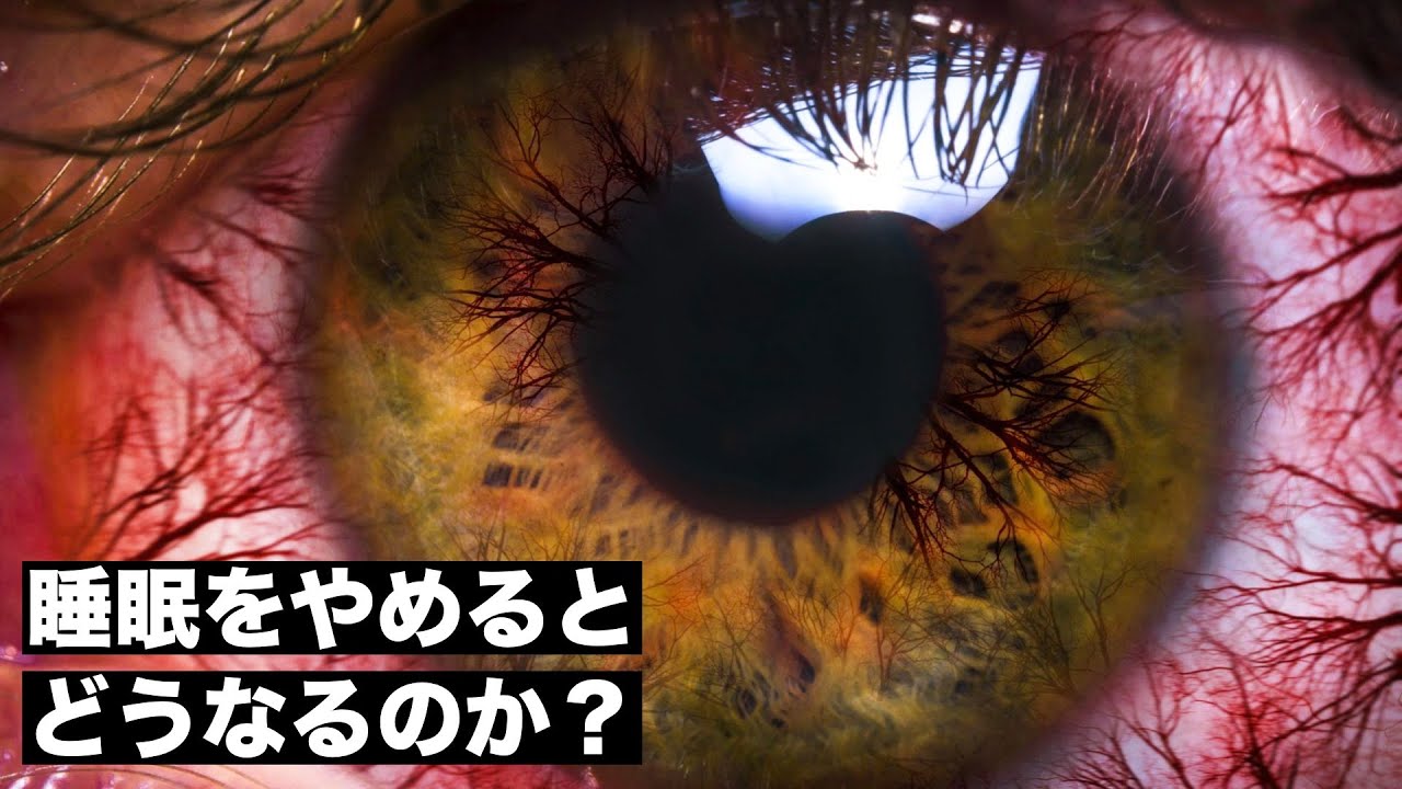 【危険】一睡もせずに起き続けると人体に何が起こるのか？