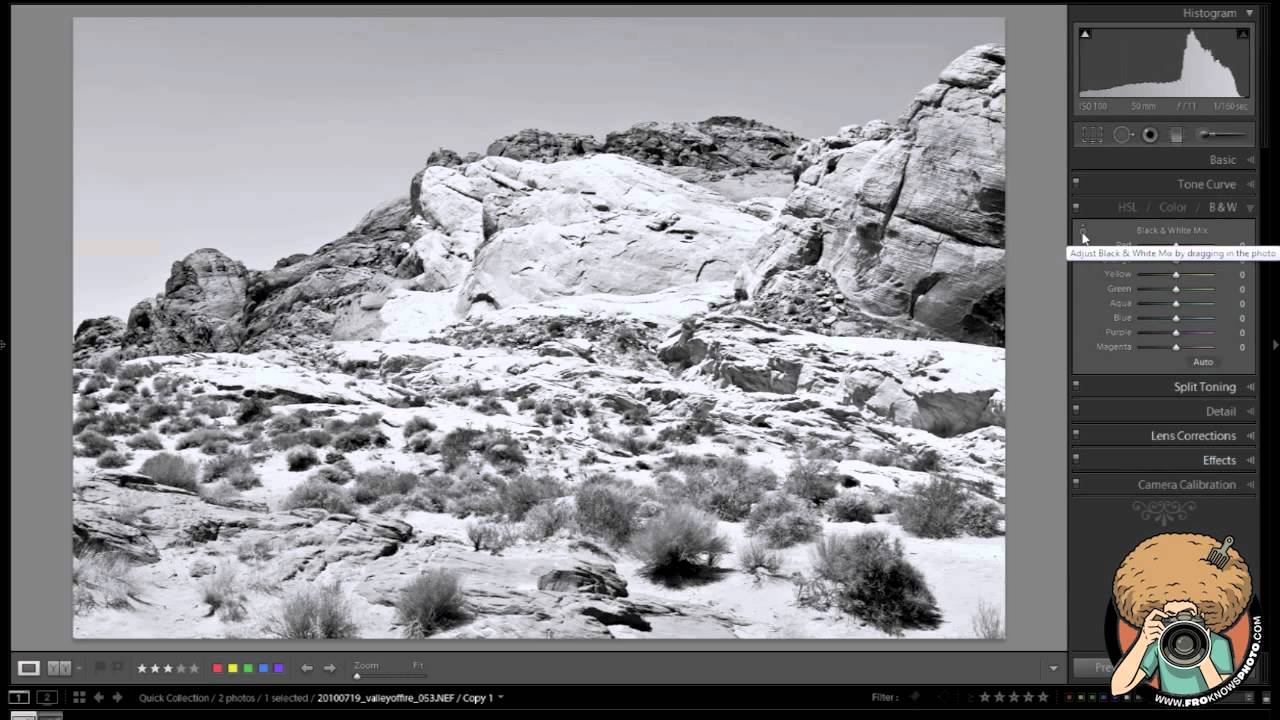 canon definicion Lightroom Black and White