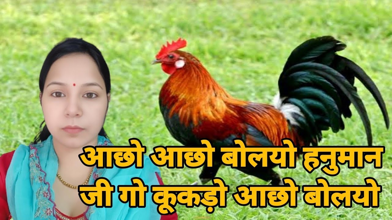 देवता की रात का कूकड़ा भजन || जा बैठयो जा बैठयो हनुमान जी ग थाना जा बैठयो #aapnivirast