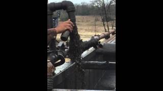 IMG 7709   Copy   Copy