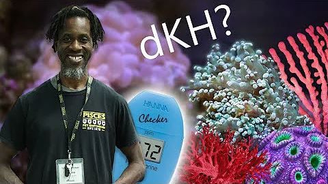 Testing Alkalinity in your Reef Aquarium with Hanna dKH Checker