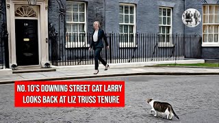 No.10's Downing Street Cat Larry   looks back at the Liz Truss Tenure