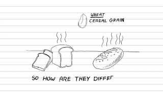 White Bread Vs Whole Wheat (Grain): Whats healthier?, Whats the difference?