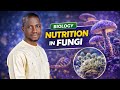 Nutrition in Fungi Explained | Saprophytic, Parasitic &amp; Mutualistic (WAEC, JAMB &amp; 100 Level Biology)