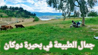 تخييم في بحيرة دوكان (١) رحلة السليمانية