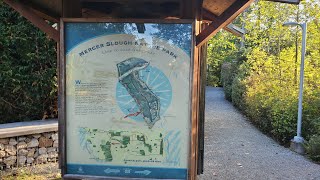 Exploring Mercer Slough