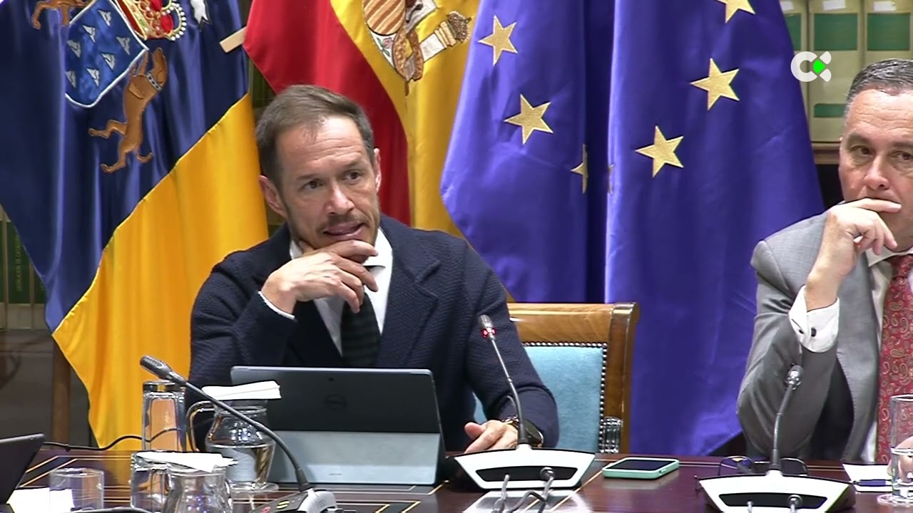 La caída de una palmera sobre una línea de distribución causó el cero energético en La Gomera