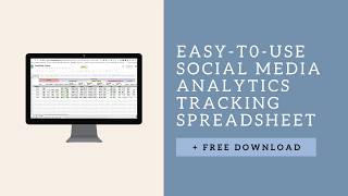 Monthly Social Media Analytics Tracking Tutorial + FREE Analytics Tracking Spreadsheet! screenshot 4