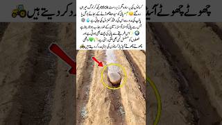 Farmers’ Smart Water Saving Trick💧🧑🌾#Farming #WaterSaving #Agriculture #SmartIdeas #Innovation