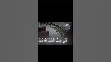 #القرآن_الكريم #الرحمن #الشيخ_ياسر_الدوسري #تلاوة_خاشعة