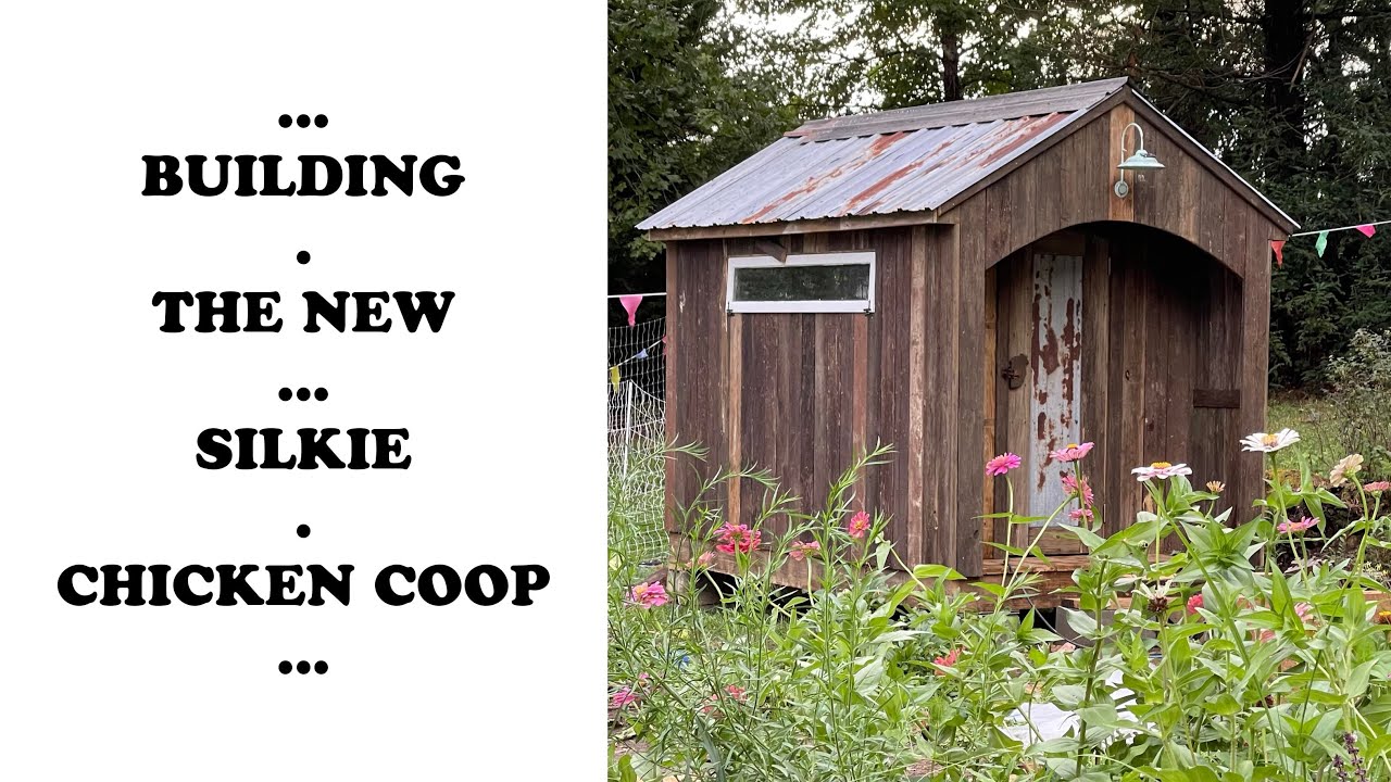 The New Silkie Chicken Coop!! YouTube