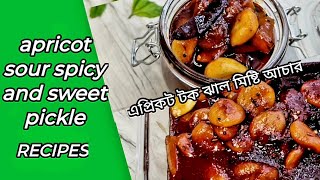 Apricot sour spicy and sweet pickle | এপ্রিকট টক ঝাল মিষ্টি আচার | By Maryam R & vlogs screenshot 1