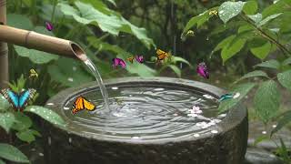Bamboo Water Sounds for Deep Sleep 🌙 Calm Night Garden Ambience
