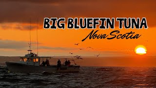 Big Bluefin Tuna Catch &amp; Release aboard BRIAN’S LAST out of Antigonish, Nova Scotia