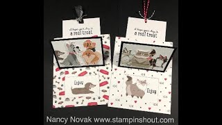 nancy anne's pampered pets